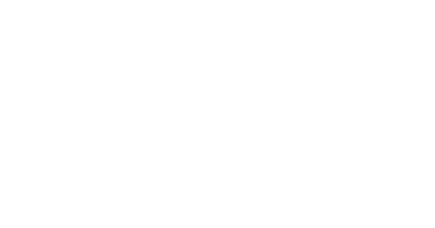 Civic Consulting Alliance (CCA)